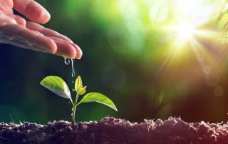 World Environment Day