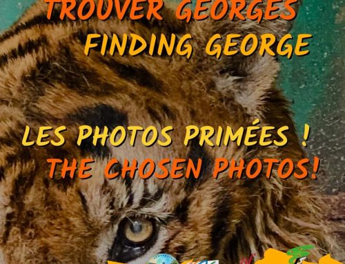 Finding George, Aleena Johnson’s picture among the 10 best! 03/01/2023
