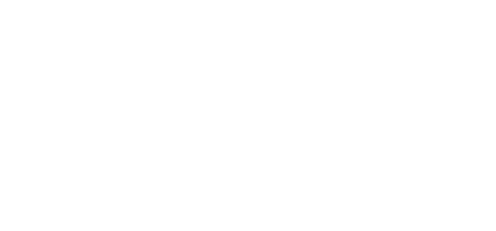 lifestyle logo stroke white