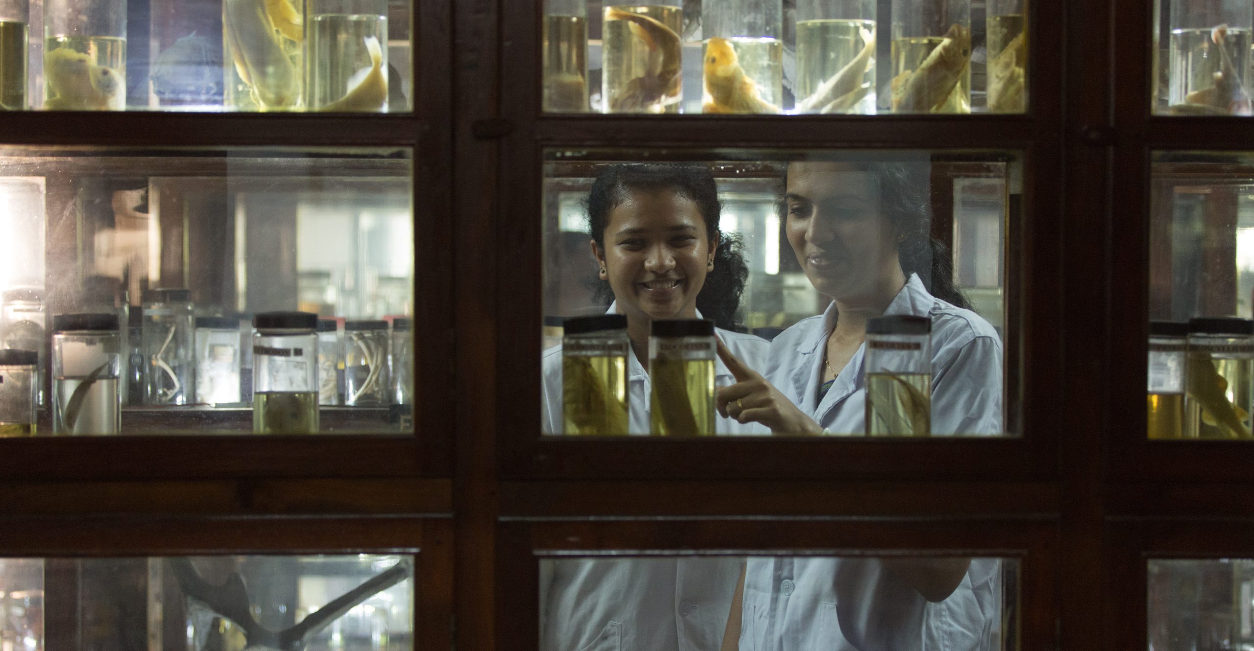 Department of Zoology